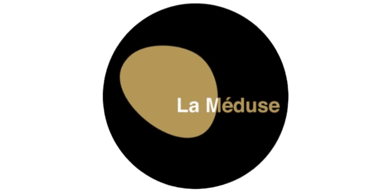 Logo La Méduse